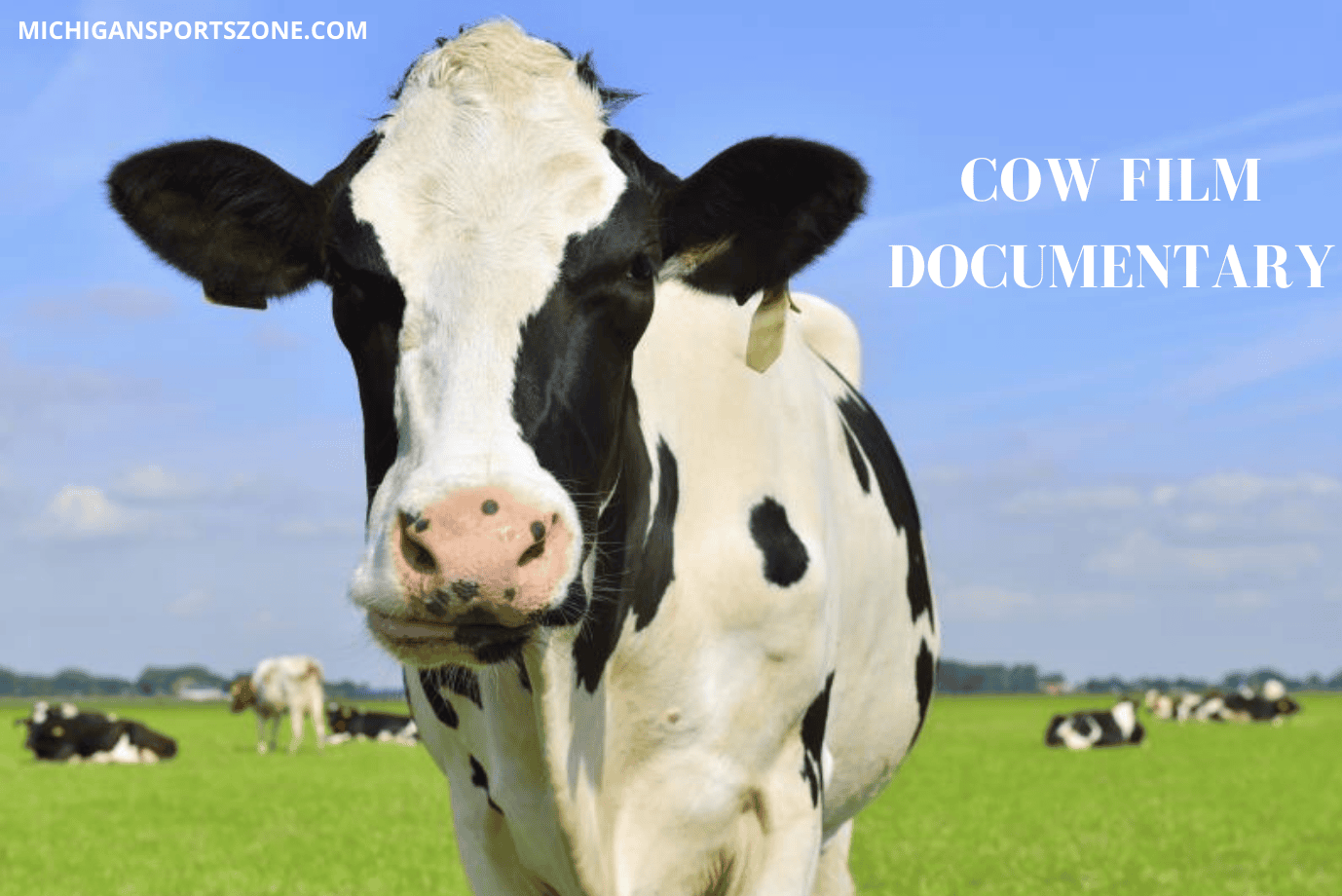 Cow Film Review