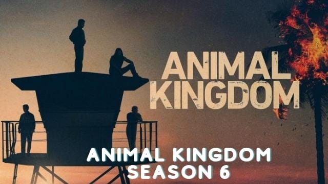 animal kingdom season 6