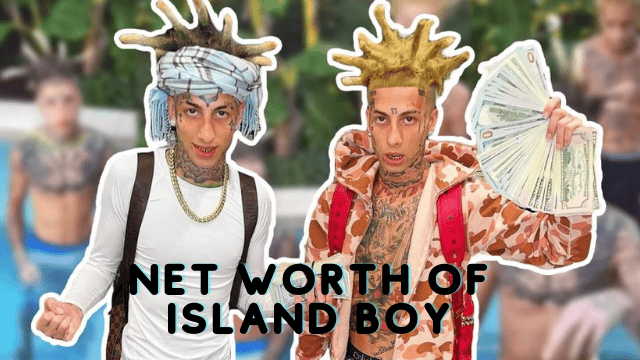 Island Boy Net Worth: Early Life, Career Lifestyle And Many More!