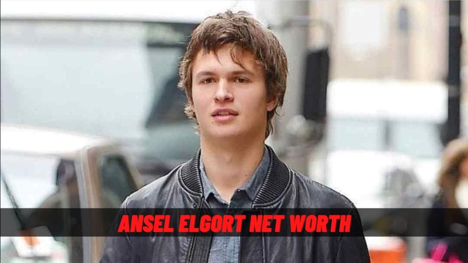 Ansel Elgort Net Worth
