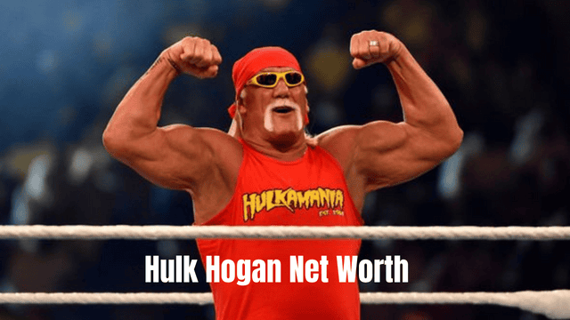 hulk hogan net worth