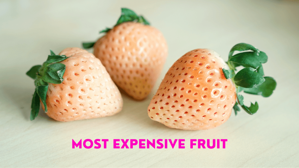 Here’s a List of the 10 Most Expensive Fruit in the World!