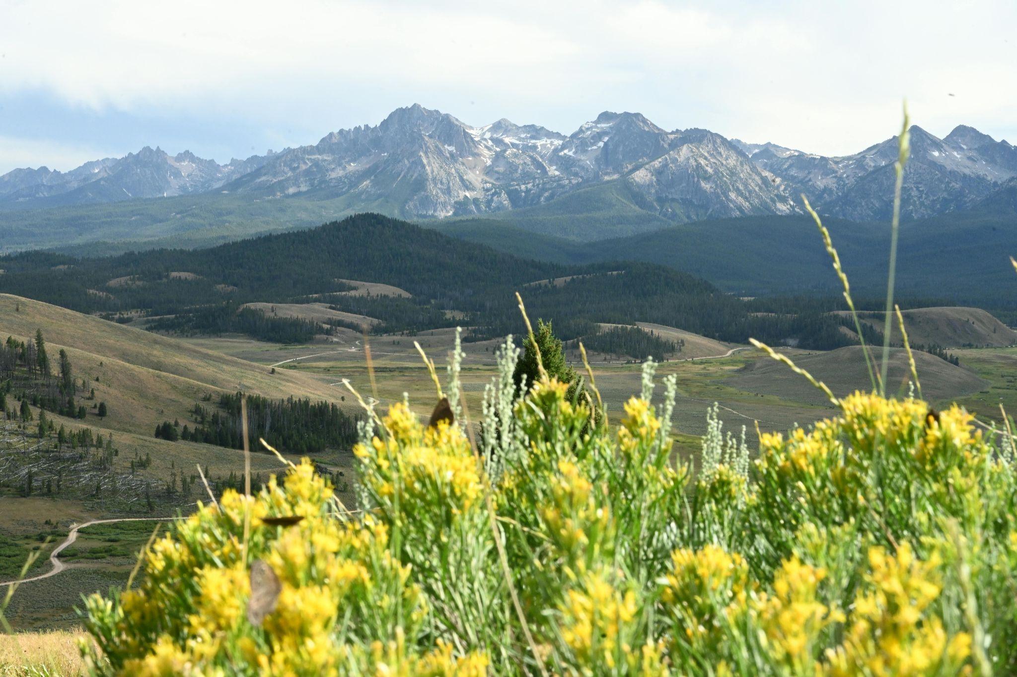 Three States, One Summit: Quad Riding Idaho's Peaks with My 84-Year-Old Dad